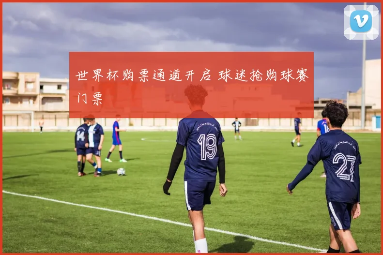 世界杯购票通道开启 球迷抢购球赛门票