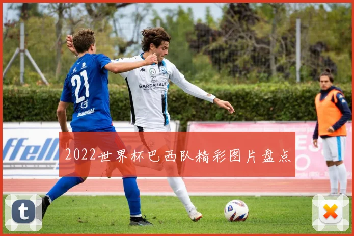 2022世界杯巴西队精彩图片盘点