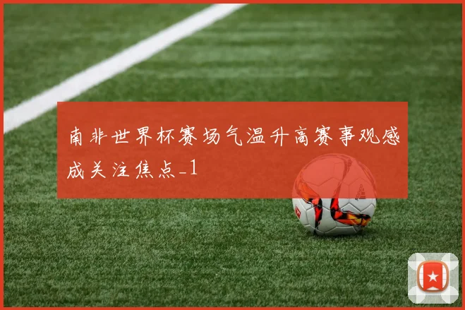 南非世界杯赛场气温升高赛事观感成关注焦点_1