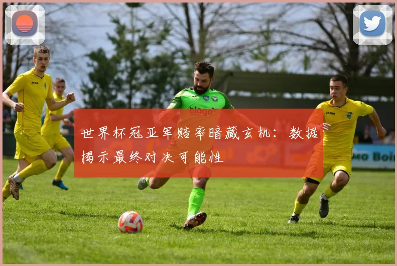 世界杯冠亚军赔率暗藏玄机：数据揭示最终对决可能性
