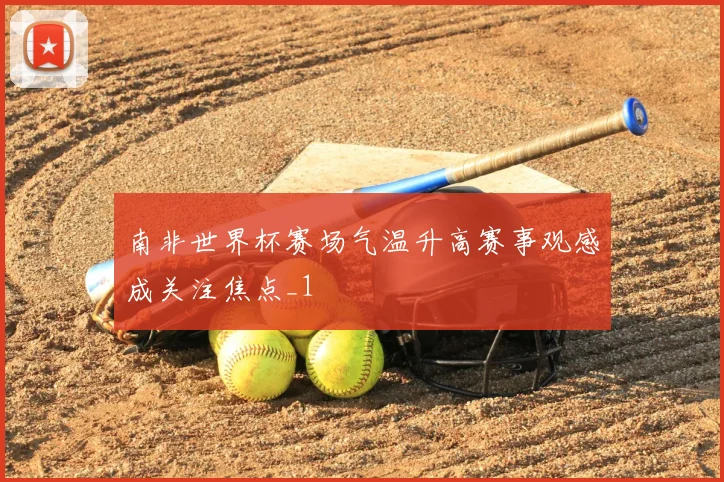 南非世界杯赛场气温升高赛事观感成关注焦点_1