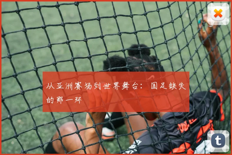 从亚洲赛场到世界舞台：国足缺失的那一环