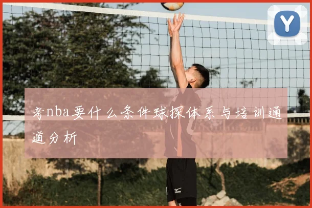 考nba要什么条件球探体系与培训通道分析
