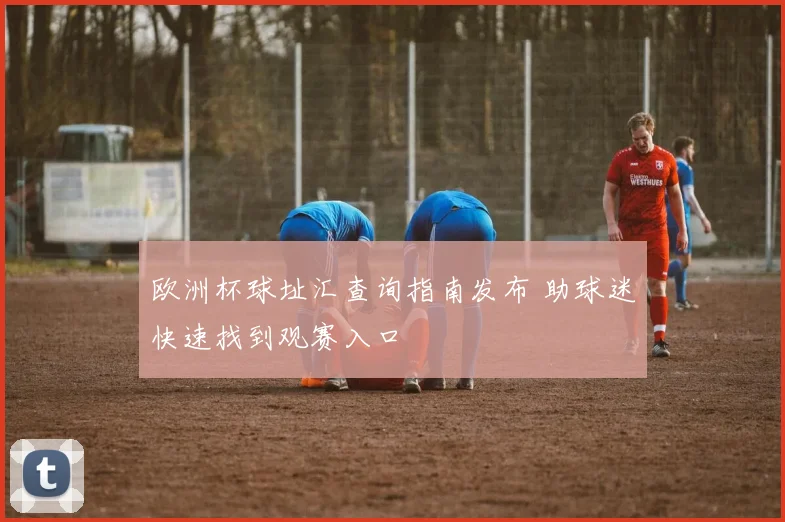 欧洲杯球址汇查询指南发布 助球迷快速找到观赛入口