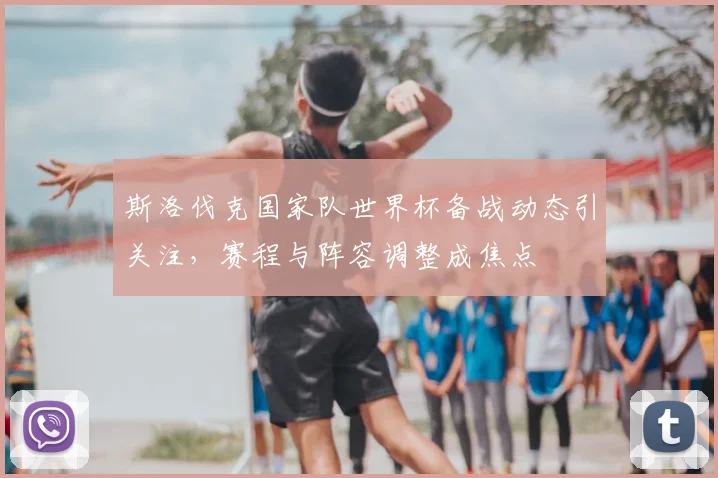 斯洛伐克国家队世界杯备战动态引关注，赛程与阵容调整成焦点
