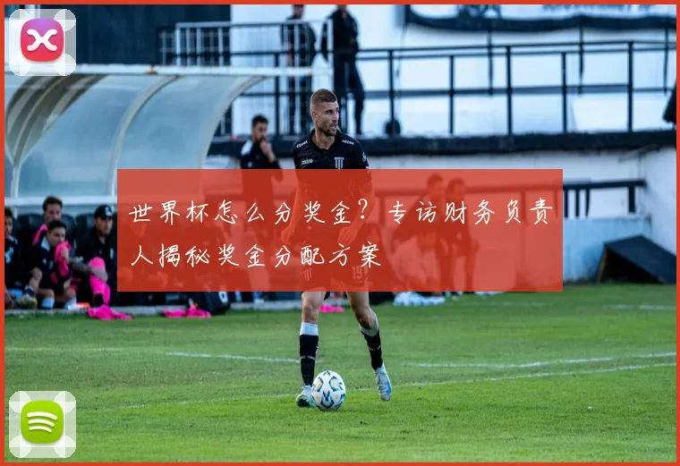 世界杯怎么分奖金？专访财务负责人揭秘奖金分配方案
