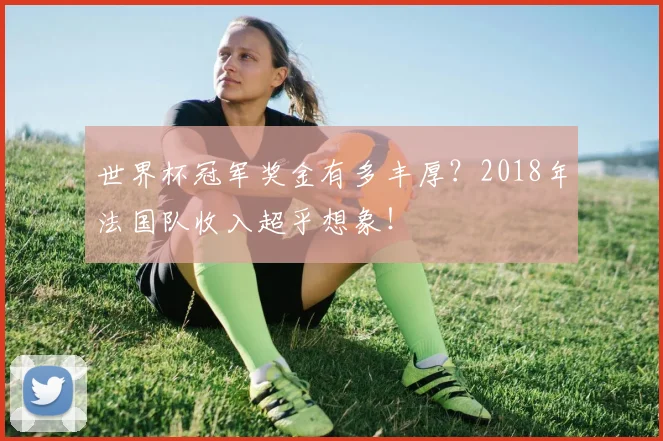 世界杯冠军奖金有多丰厚？2018年法国队收入超乎想象！