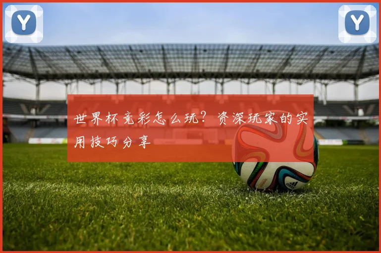 世界杯竞彩怎么玩？资深玩家的实用技巧分享