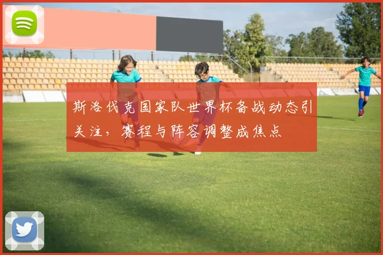 斯洛伐克国家队世界杯备战动态引关注，赛程与阵容调整成焦点